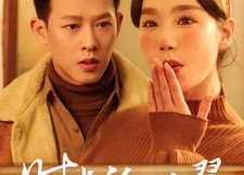 【时光的双翼】94集短剧全集网盘免费观看