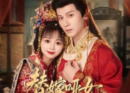 【替嫁哑女寒夜觅归鸿】65集短剧免费全集直看