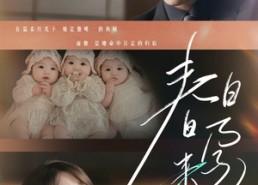 【春日来孕】60集短剧完整版在线观瞧