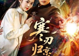 【寒刃归京华】65集短剧完整版在线播放