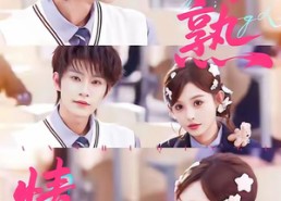 【半熟情侣】85集短剧免费在线即点即看