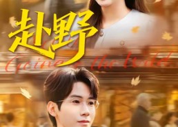 【赴野】40集短剧免费全集轻松观瞧