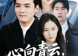 【心向青云，志在巅峰】65集短剧完整版免费看