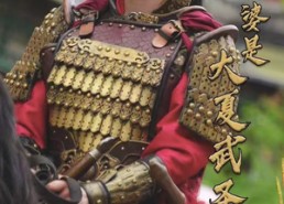 【我的老婆是大夏武圣】72集在线短剧免费畅快看