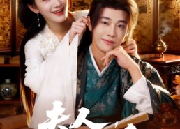 【夫人，请住手】82集热门短剧在线免费追