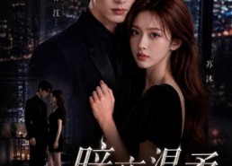 【暗夜温柔】25集短剧完整版免费在线观