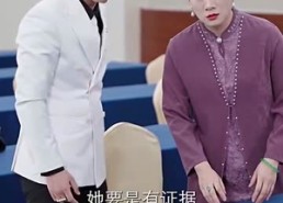 【似是佳人来】91集短剧免费在线全集观瞧