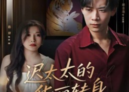 【迟太太的华丽转身】80集短剧免费在线完整看