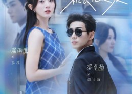 【被迫闪婚其实冷面机长他超爱】77集在线短剧免费畅看