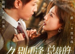 【久别重逢，总裁的白月光回来了】62集免费全集短剧在线悦看