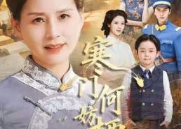 【寒门何妨栖慈凤】100集在线免费看短剧全集