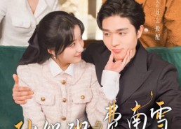 【砂锅粥与费南雪】77集高清短剧在线畅看