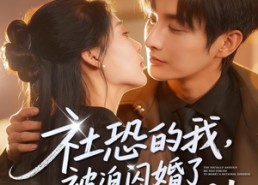 【社恐的我被迫闪婚了个国民女神】84集短剧全集免费看