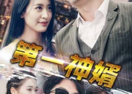 【第一神婿】110集在线短剧免费全集速看