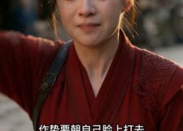 【大婚当日改嫁摄政王】36集短剧免费高清观看