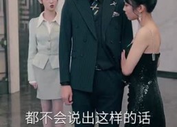 【前夫别追，大小姐辞职了】31集短剧免费全集赏映