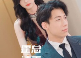 【霍总请再爱我一次】76集短剧免费全集在线览