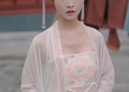 【前夫君登基为帝我被迫和离】68集免费短剧在线完整观赏