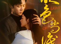 【夜色尚浅】65集短剧免费全集流畅观