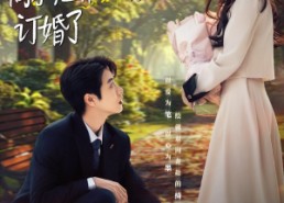 【陆总别傲了，简小姐和顾总订婚了】89集短剧全集免费任意看