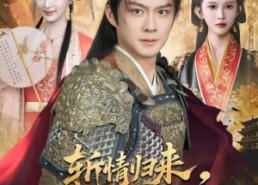 【斩情归来，拿回我的江山】70集精彩短剧免费直看