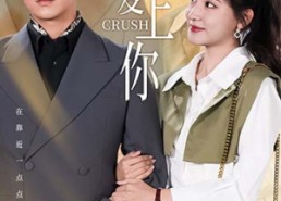 【敲敲爱上你】53集高清短剧免费赏看