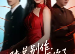 【陆总别作，太太她不要你了】66集短剧全集免费畅享观看