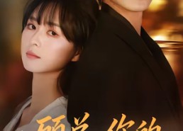 【顾总，你的小孕妻又跑了】47集短剧免费在线赏剧