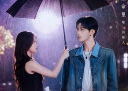 【被雨淋湿的小狗】80集精彩短剧免费在线观看全集