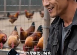 【你坐地涨租，我还你荒山】43集免费短剧在线畅快看