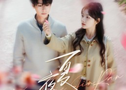 【夏夜尽染】80集短剧免费全集尽情观