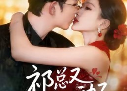 【祁总又心动了】60集高清短剧全集赏看