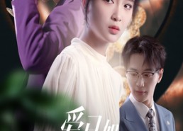 【爱已如明日黄花】60集热门短剧在线观看