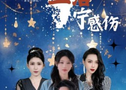 【流星坠落宁感伤】82集短剧在线免费畅快赏