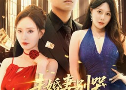 【未婚妻别哭，我真的是天命大反派&未婚妻别哭我真的是天命大反派】80集短剧全集免费畅看