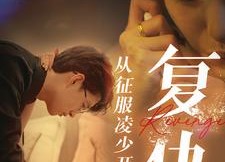 【复仇从征服凌少开始】40集短剧全集在线畅快看