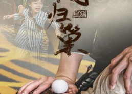 【新版：凤归巢】68集短剧线上免费全集看