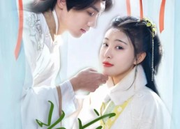 【傻子王爷娇宠妃&当家】50集高清短剧免费观