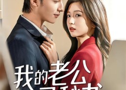 【我的老公是秘书】56集短剧免费在线览剧