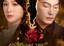 【余生漫漫不相见】30集短剧在线高清追看