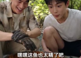 【八七赶海，老婆真是港岛大小姐第二季】123集短剧全网免费观看