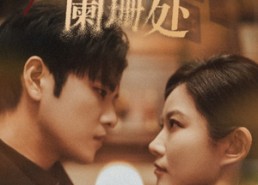 【寻她灯火阑珊处】免费在线看61集短剧全集