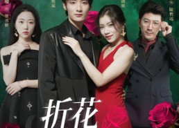 【折花枝上开】51集在线免费短剧全集赏看