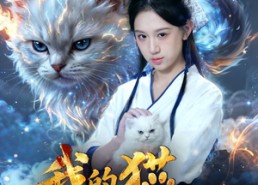 【我的猫不好惹】42集短剧免费全集速看