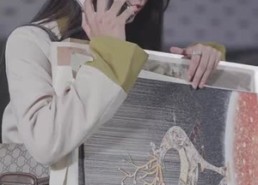 【远赴人间惊鸿宴】82集短剧免费高清观看