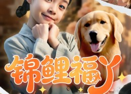 【锦鲤福丫】81集高清短剧免费在线观看