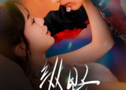 【纵野】60集短剧免费高清在线看