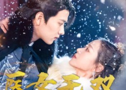 【医女无双】90集短剧在线免费高清览