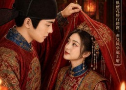 【错上花轿当王妃】82集短剧免费在线追剧