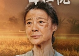 【儿行千里母担忧】52集全集短剧免费在线瞧